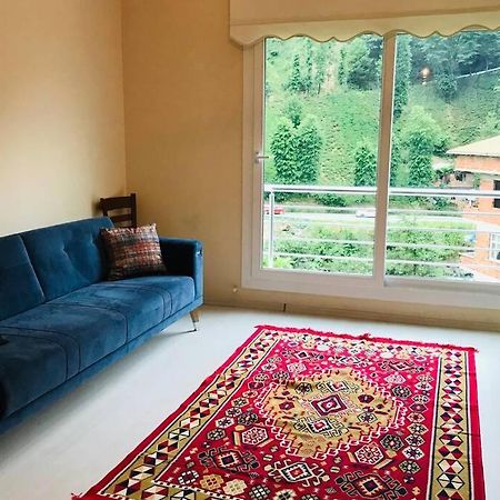 River Side Placed Suit House Secer Apart Çamlıhemşin Exterior foto